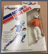 Tampa Bay Buccaneers from Action Team Mate - Basic Series manufactured by Pro Sports Marketing [Front]