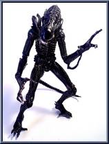 Xenomorph Warrior (Black) from Aliens - Series  5 manufactured by Neca [Loose]