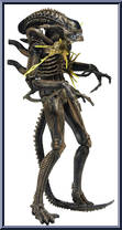Xenomorph Warrior (Battle Damaged) from Aliens - Series 12 manufactured by Neca [Loose]