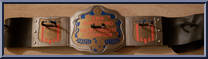Championship Belt Action Figure