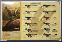 Pyroraptor olympius from Beasts of the Mesozoic - Raptor Series manufactured by Creative Beast Studio [Back]