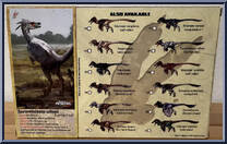 Saurornitholestes sullivani from Beasts of the Mesozoic - Raptor Series manufactured by Creative Beast Studio [Back]