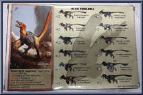 Velociraptor mongoliensis (Black) from Beasts of the Mesozoic - Raptor Series manufactured by Creative Beast Studio [Back]