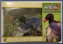 Zhenyuanlong suni from Beasts of the Mesozoic - Raptor Series manufactured by Creative Beast Studio [Front]