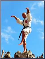 Karate Action Figure