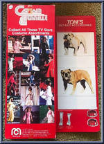 Toni Tennille from Captain and Tennille - Basic Series manufactured by Mego [Back]