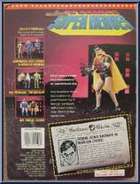 Robin from DC Comics Superheroes - Basic Series manufactured by Toy Biz [Back]