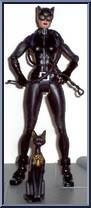 Catwoman from DC Super Heroes - Series 8 manufactured by Mattel [Loose]