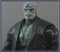 Solomon Grundy from DC Universe Classics - Wave  3 manufactured by Mattel [Loose]