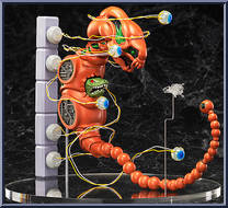 Dobkeradops (R-Type) from Figma - SP Series manufactured by Max Factory [Loose]
