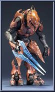 Elite Zealot Action Figure