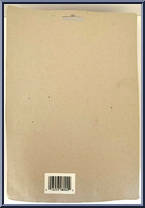 Insect Man (Brown / Green Helmet) from Insect Man - Basic Series manufactured by Unknown [Back]