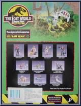 Pachycephalosaurus "Ram Head" from Jurassic Park - Lost World - Dinos - Series 1 manufactured by Kenner [Back]