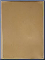 Black Warrior from Lazerforce - Basic Series manufactured by Sungold [Back]