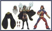 Storm / Thunderbird from Marvel Legends - 20th Anniversary X-Men - Exclusives manufactured by Hasbro [Loose]