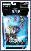 Rocket Raccoon & Groot from Marvel Legends - Infinite Series - Gladiator Hulk 'Best Of MCU' Series manufactured by Hasbro [Front]