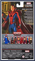 Zombie Hunter Spidey from Marvel Legends - Infinite Series - Watcher Series manufactured by Hasbro [Back]