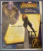 Black Widow (Avengers Infinity War) from Marvel Select - Gallery manufactured by Diamond Select [Back]