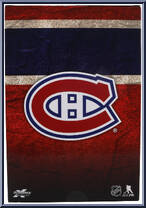 Youppi! (Montreal Canadiens) from McFarlane's Sports Picks - NHL - 2023 Series manufactured by McFarlane [Back]