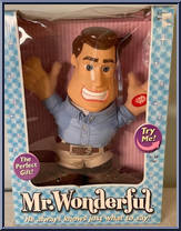Mr. Wonderful Action Figure