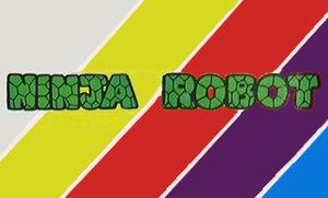 Ninja Robot