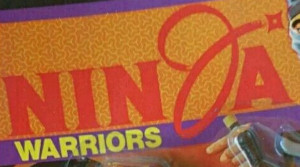 Ninja Warriors (Unknown)