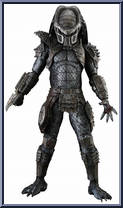 Warrior Predator