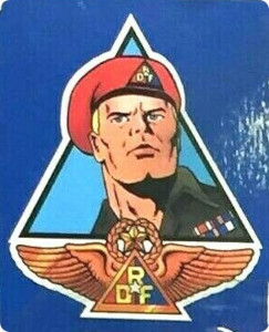 Rapid Deployment Force