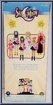 Sailor Neptune from Sailor Moon - 11.5" Deluxe Adventure Dolls manufactured by Irwin Toys [Back]