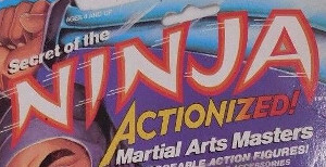Secret of the Ninja