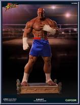 Sagat (Victory EX) Action Figure