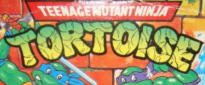 Teenage Mutant Ninja Tortoise