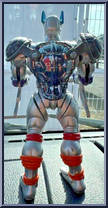 Turtle Saint from Teenage Mutant Ninja Turtles - Super Turtles (Japanese Exclusive) manufactured by Playmates [Loose]