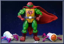 Super Turtle and Domeoids from Teenage Mutant Ninja Turtles - Mirage Comics - Basic Series manufactured by Neca [Loose]