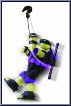 Donatello Action Figure