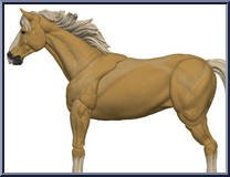 Goldie Action Figure