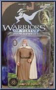 Master Chung from Warriors of Virtue - Basic Series manufactured by Play Em Toys [Front]