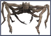 Kikimora from Witcher - Megafigs manufactured by McFarlane [Loose]