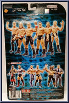 Matt Hardy from WWE Backlash - Series 12 manufactured by Jakks Pacific [Back]
