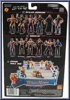 Batista from WWE Backlash - Series  7 manufactured by Jakks Pacific [Back]