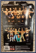 Randy Orton from WWE Deluxe Aggression - Series 22 manufactured by Jakks Pacific [Back]