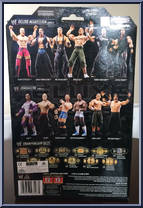 Kevin Thorn from WWE Deluxe Aggression - Series  9 manufactured by Jakks Pacific [Back]