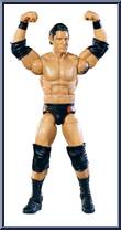 Wade Barrett from WWE Elite Collection - Series  11 manufactured by Mattel [Loose]