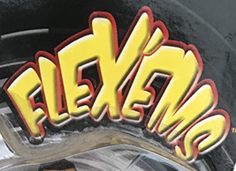 WWE Flex 'Ems