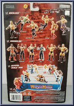 Shawn Michaels from WWE Pay Per View - Series 13 - Backlash manufactured by Jakks Pacific [Back]