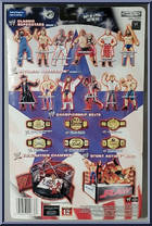 Torrie Wilson from WWE Pay Per View - Series  6 - Great American Bash manufactured by Jakks Pacific [Back]