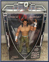 Matt Hardy Action Figure