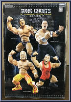 Rob Van Dam from WWE Ring Giants - Series  7 manufactured by Jakks Pacific [Back]