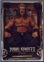 Edge from WWE Ring Giants - Series 11 manufactured by Jakks Pacific [Front]