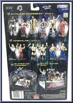 Chris Jericho from WWE Ruthless Aggression - Series 12 manufactured by Jakks Pacific [Back]